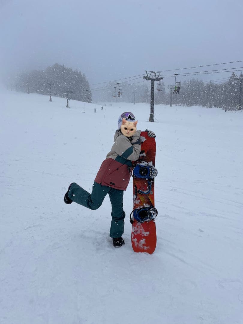 ICEPARDAL スノーボードウェア セット Sサイズ