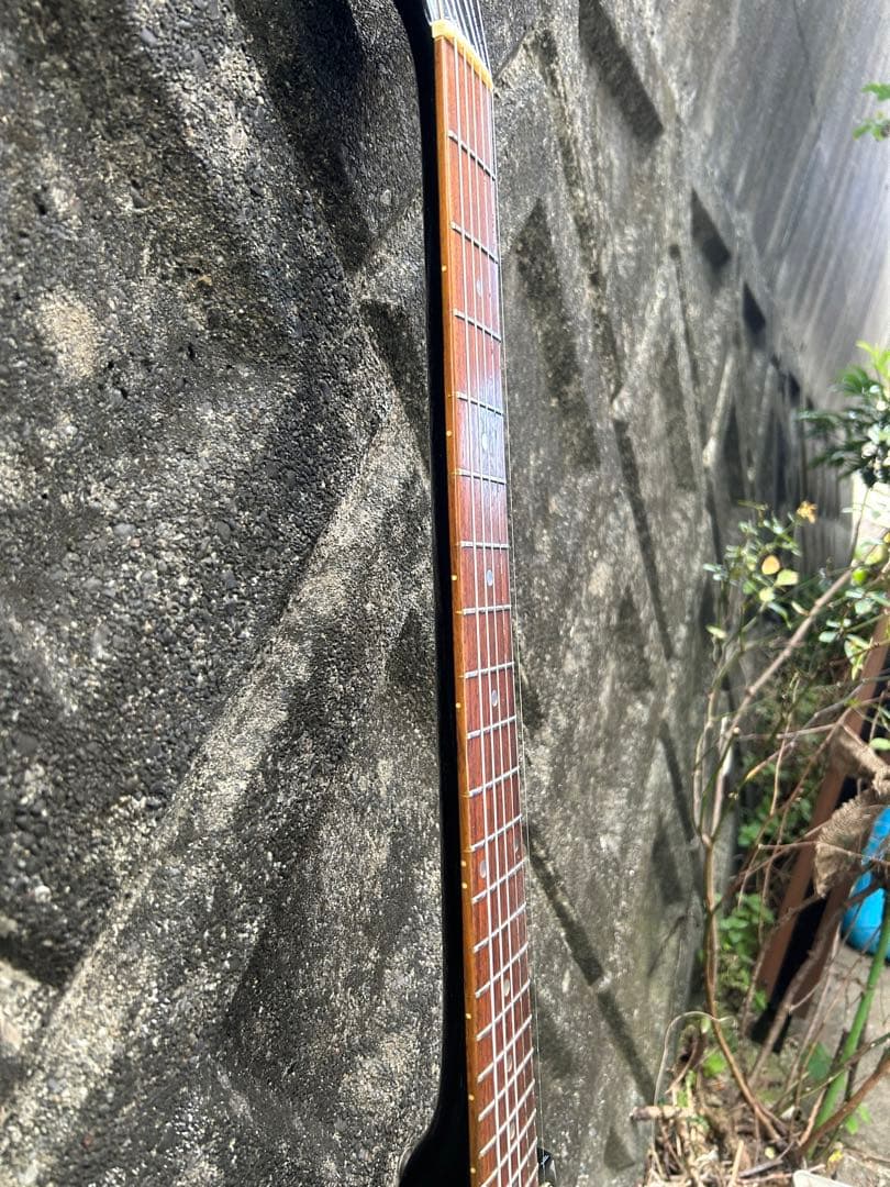 ギター Bacchus Brian Flying V model