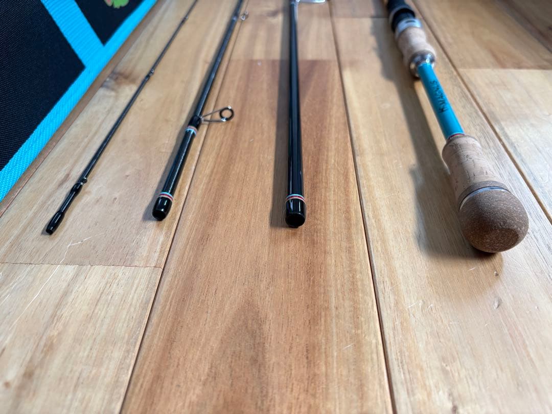 fin-ch フィンチ カナリア アゾレス 77