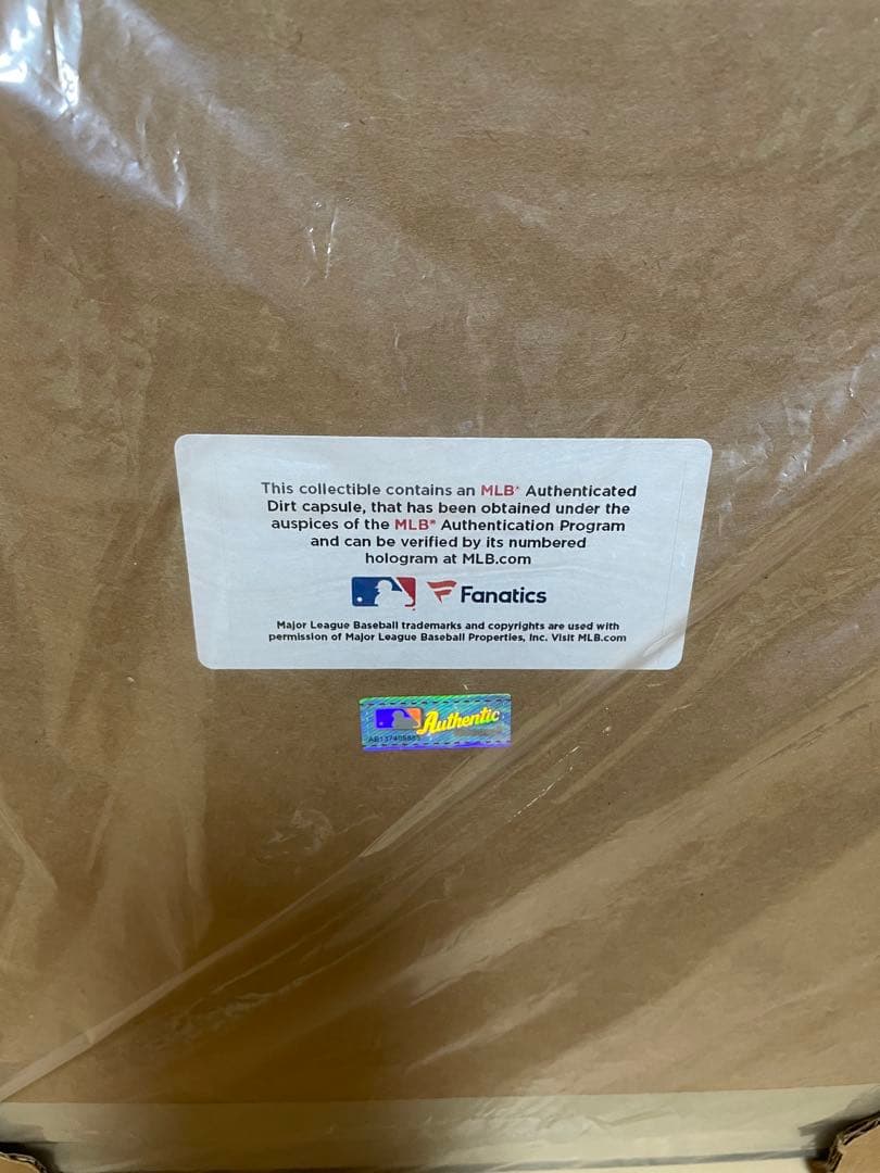 大谷翔平 500個限定 デビュー記念フォトフレーム フォトプラーク