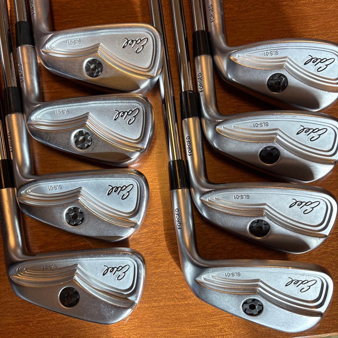 EDELイーデル ワンレングス SLS-01 #5-SW 8本　　DGX100