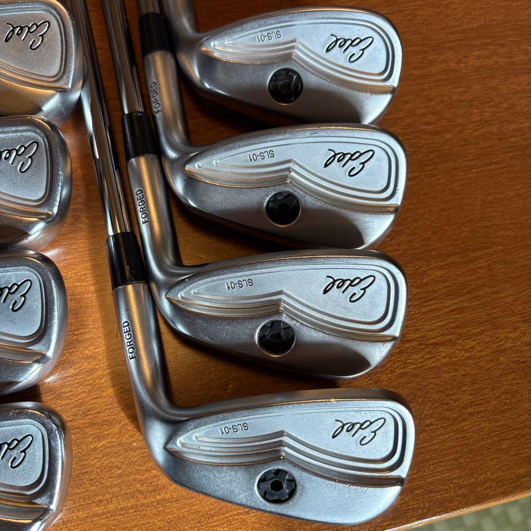 EDELイーデル ワンレングス SLS-01 #5-SW 8本　　DGX100