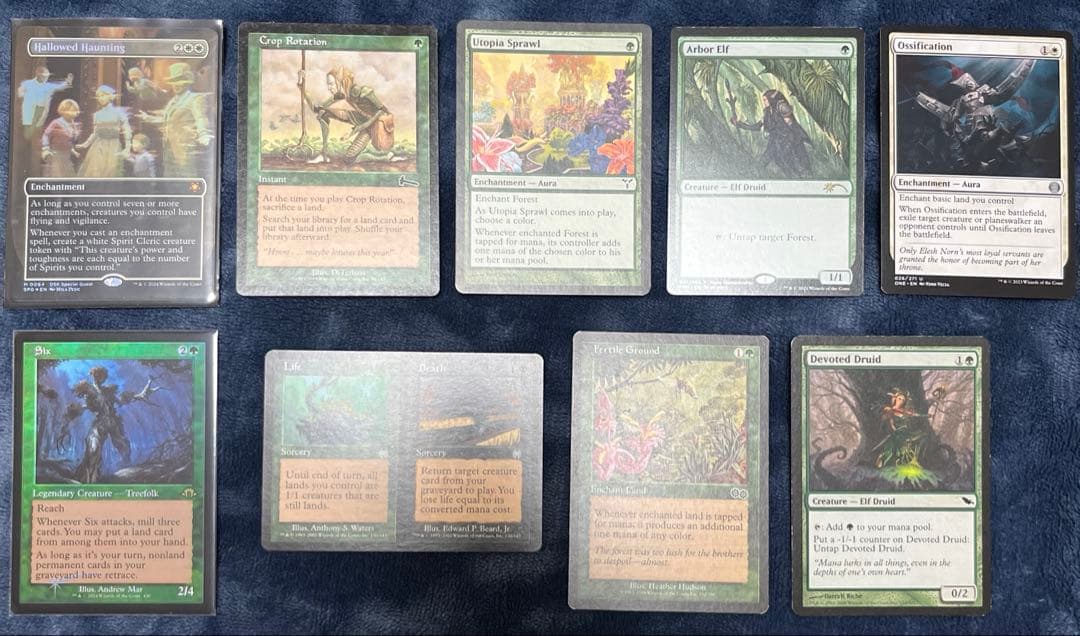 マジック：ザ・ギャザリング MTG request items check