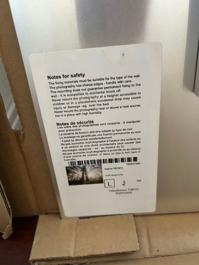 幻想的な森林の風景 Lサイズ アート写真