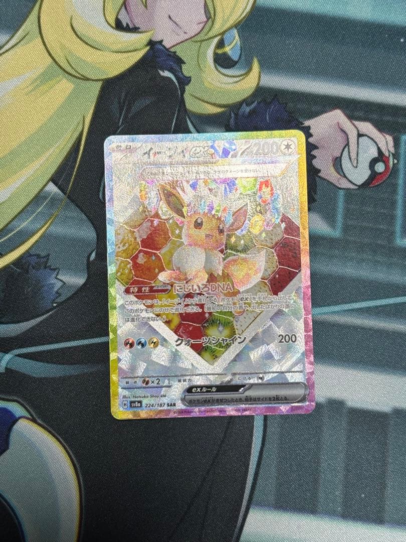 ポケモンカード ブイズ SAR テラスタル　コンプ