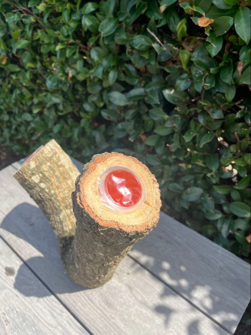 キングクルール様オーダー品　クヌギ　エサ皿