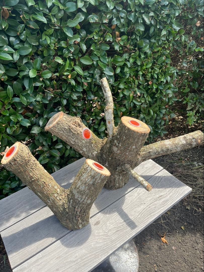 キングクルール様オーダー品　クヌギ　エサ皿