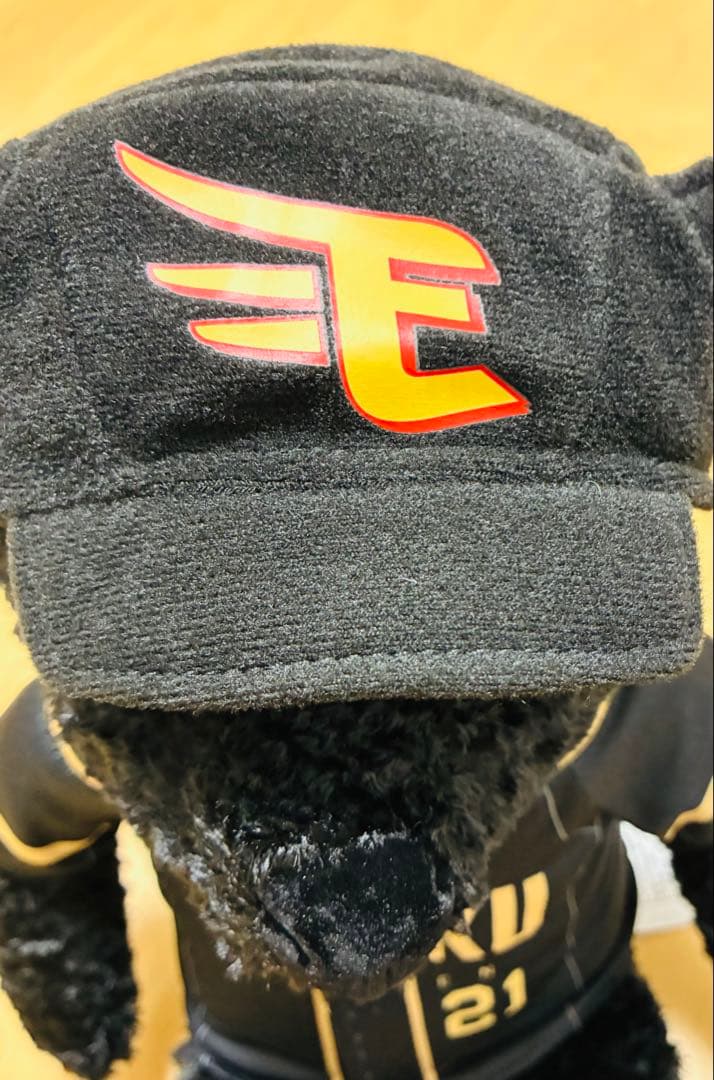 超希少品 Egoodボーナス イーグルスベア 楽天イーグルス 2024 早川隆久