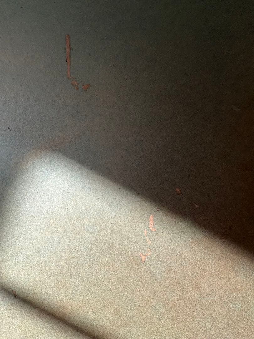 アネモネ　油絵　絵画