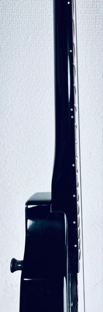 FERNANDES THE FUNCTION フライングVタイプ