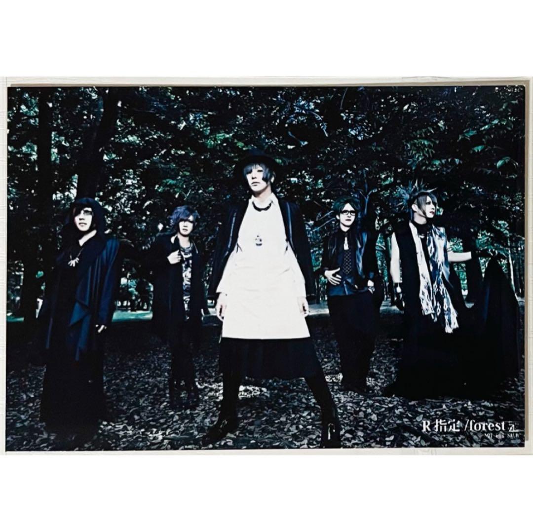 V系★R指定【集合】特典★ブロマイド★生写真★写真★8点セット