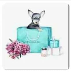 新品 オリバーガル OliverGal ACQUA CHIC CHIHUAHUA