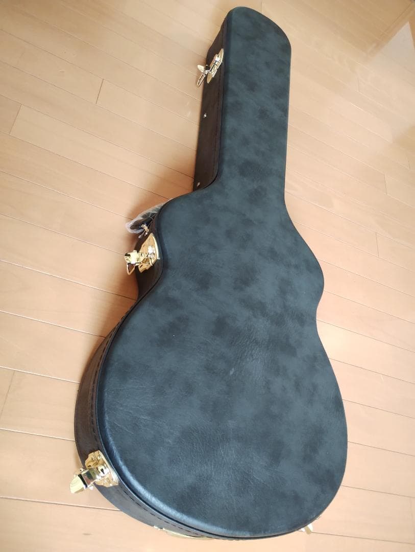 T's guitars ARC Hollow キルトトップ
