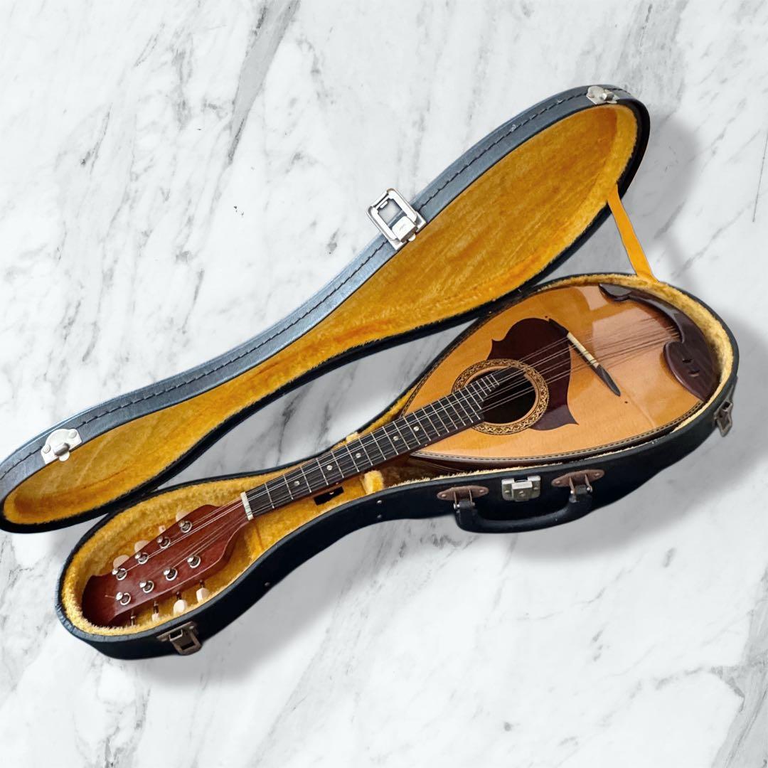 【ハードケース付】SUZUKI マンドリン M-215