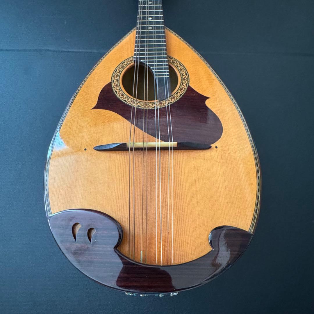 【ハードケース付】SUZUKI マンドリン M-215