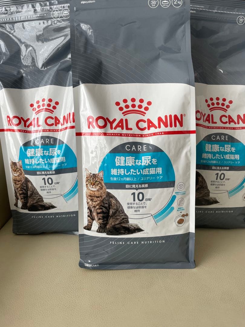  CANIN キャットフード 2kg3袋セット