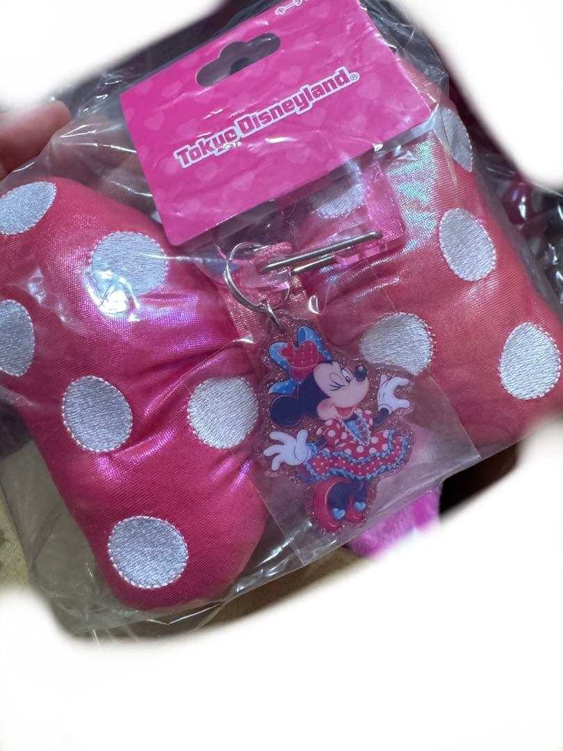 ミニー パルパルーザ ファンダーランド