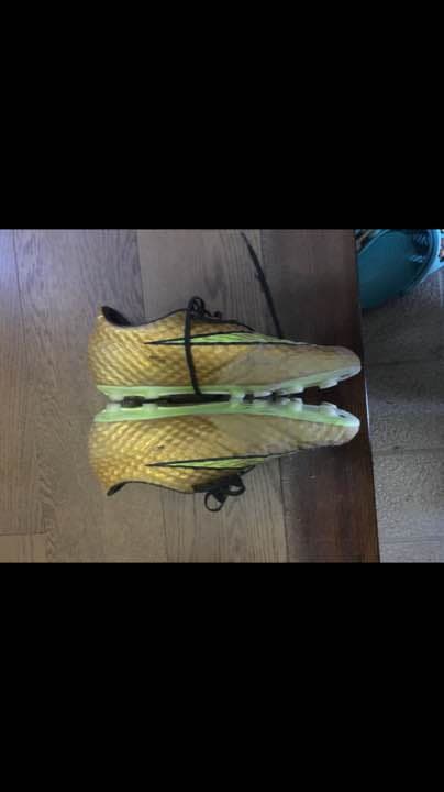 ハイパーヴェノム二足