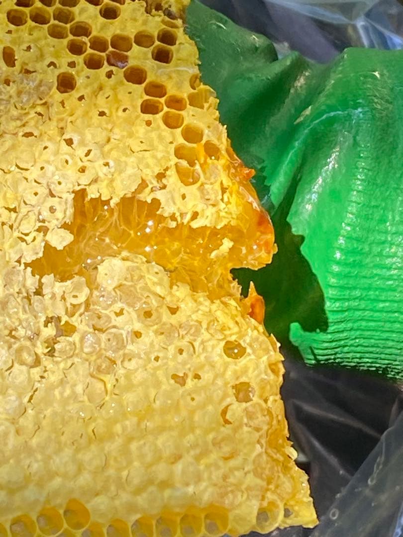 ハチミツ　日本蜜蜂の蜂蜜　巣箱の違うはちみつ　奥山の奥