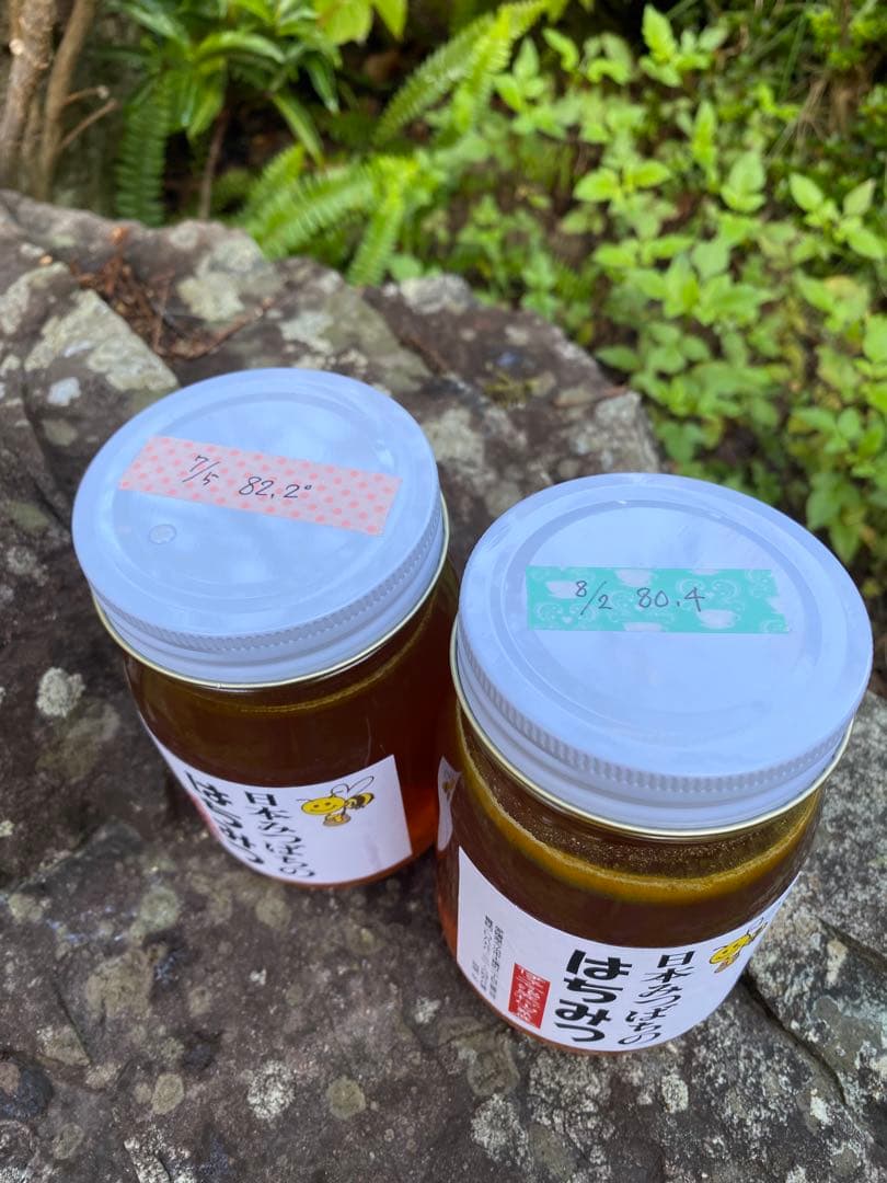 ハチミツ　日本蜜蜂の蜂蜜　巣箱の違うはちみつ　奥山の奥