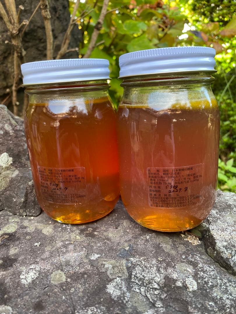 ハチミツ　日本蜜蜂の蜂蜜　巣箱の違うはちみつ　奥山の奥