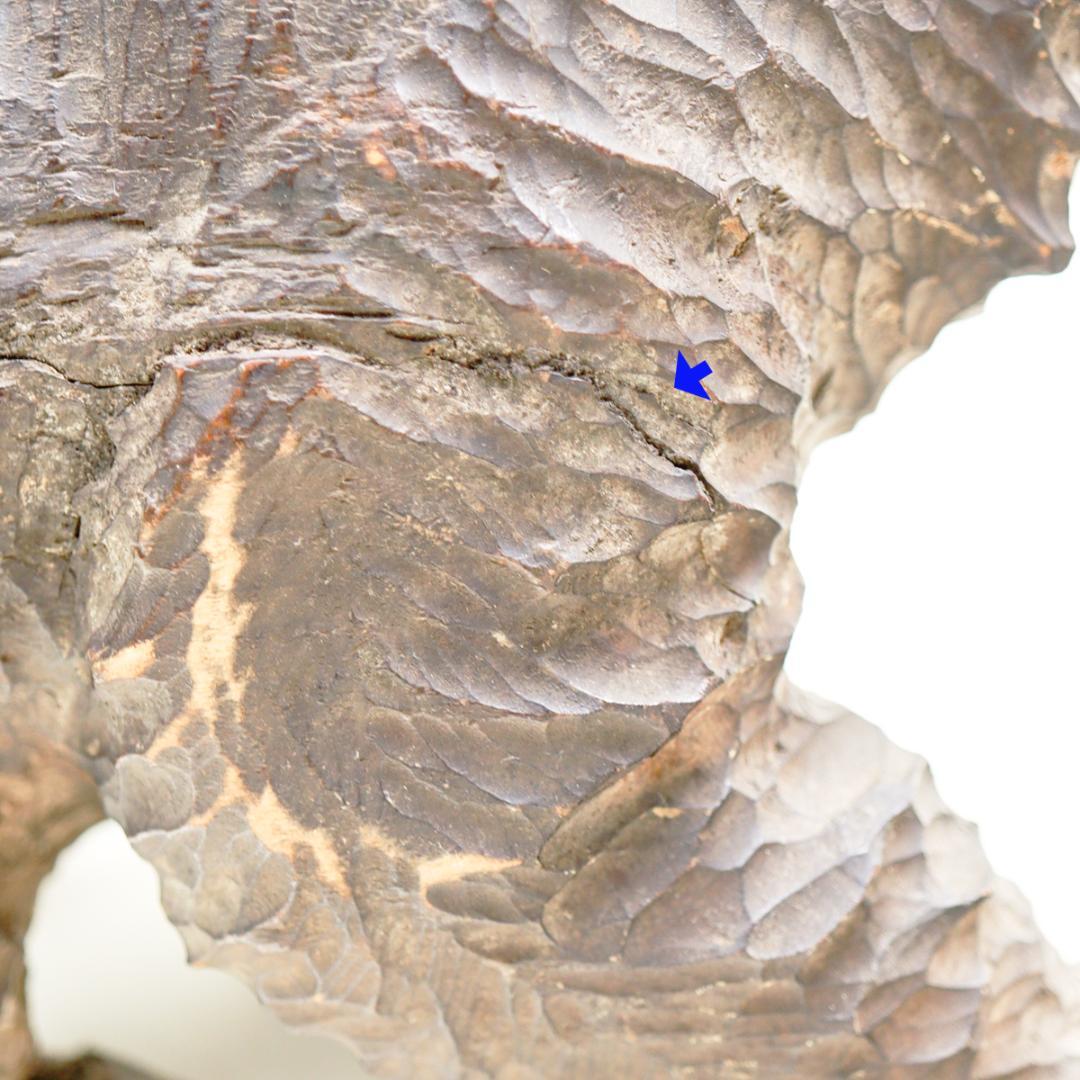 ガラス目 吠え熊 木彫 北海道民芸