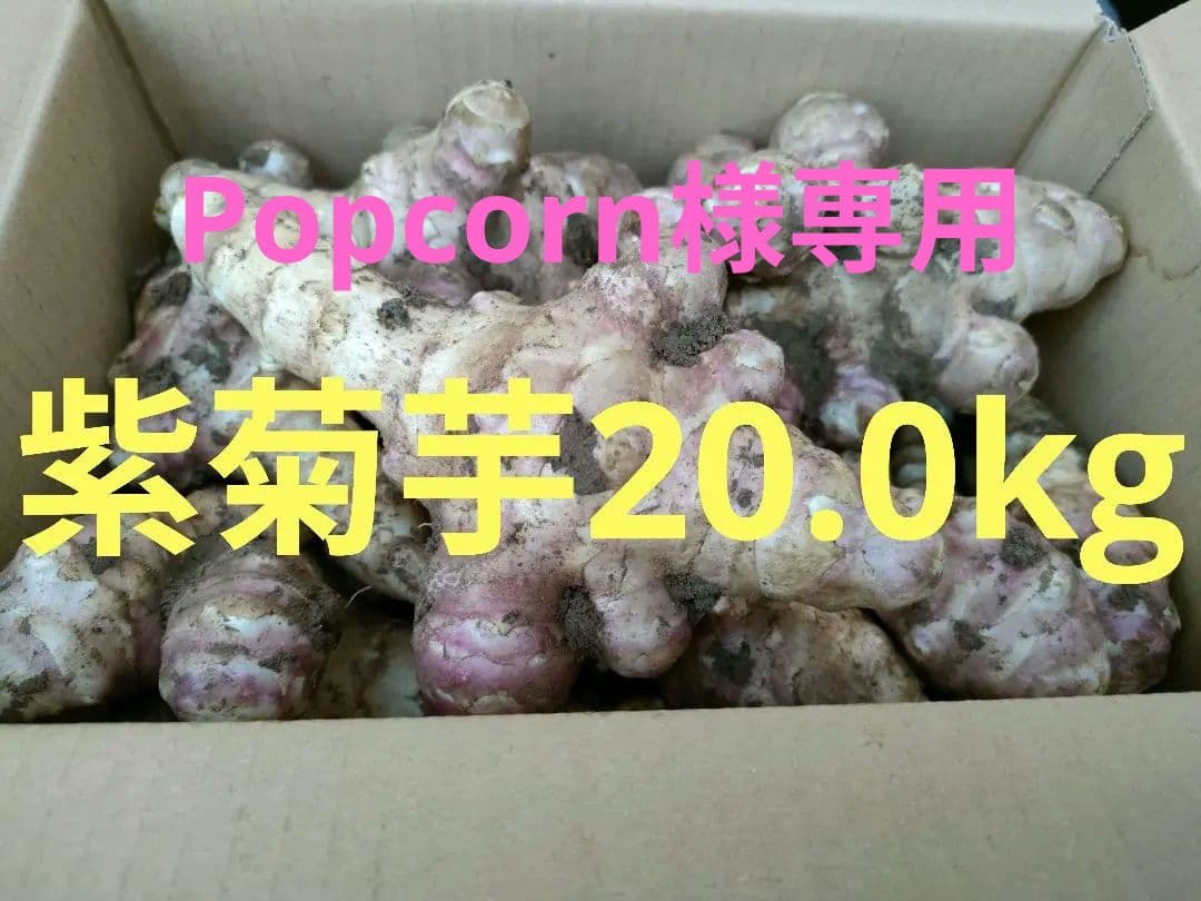 土付きお得な紫菊芋20.0kg（農薬化学肥料不使用)