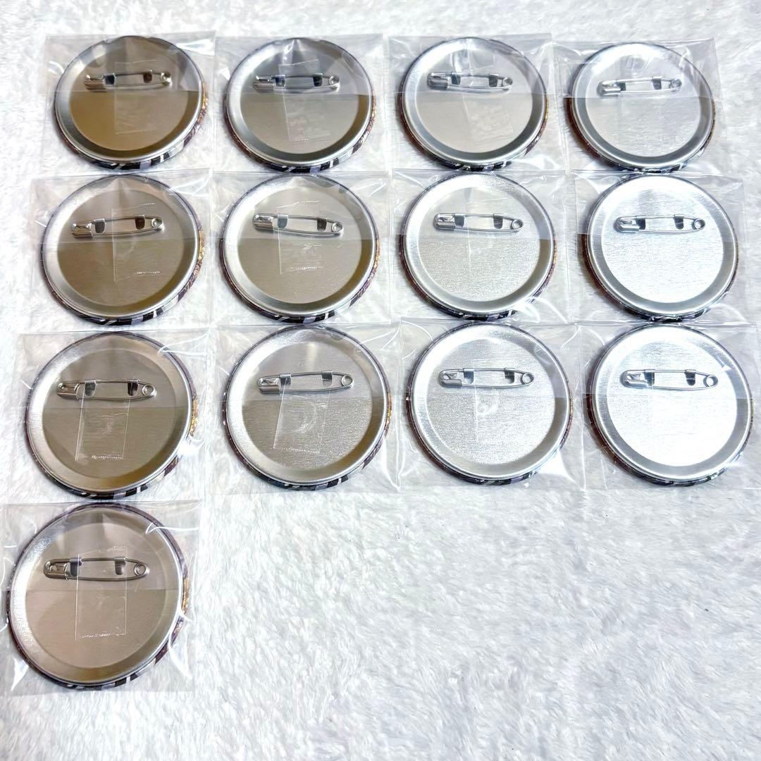 【即購入可】 シクフォニ 缶バッジ 命辛々 みこと