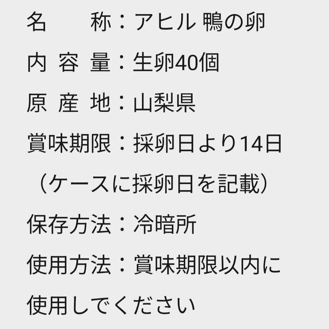 アヒル 鴨の卵 40個