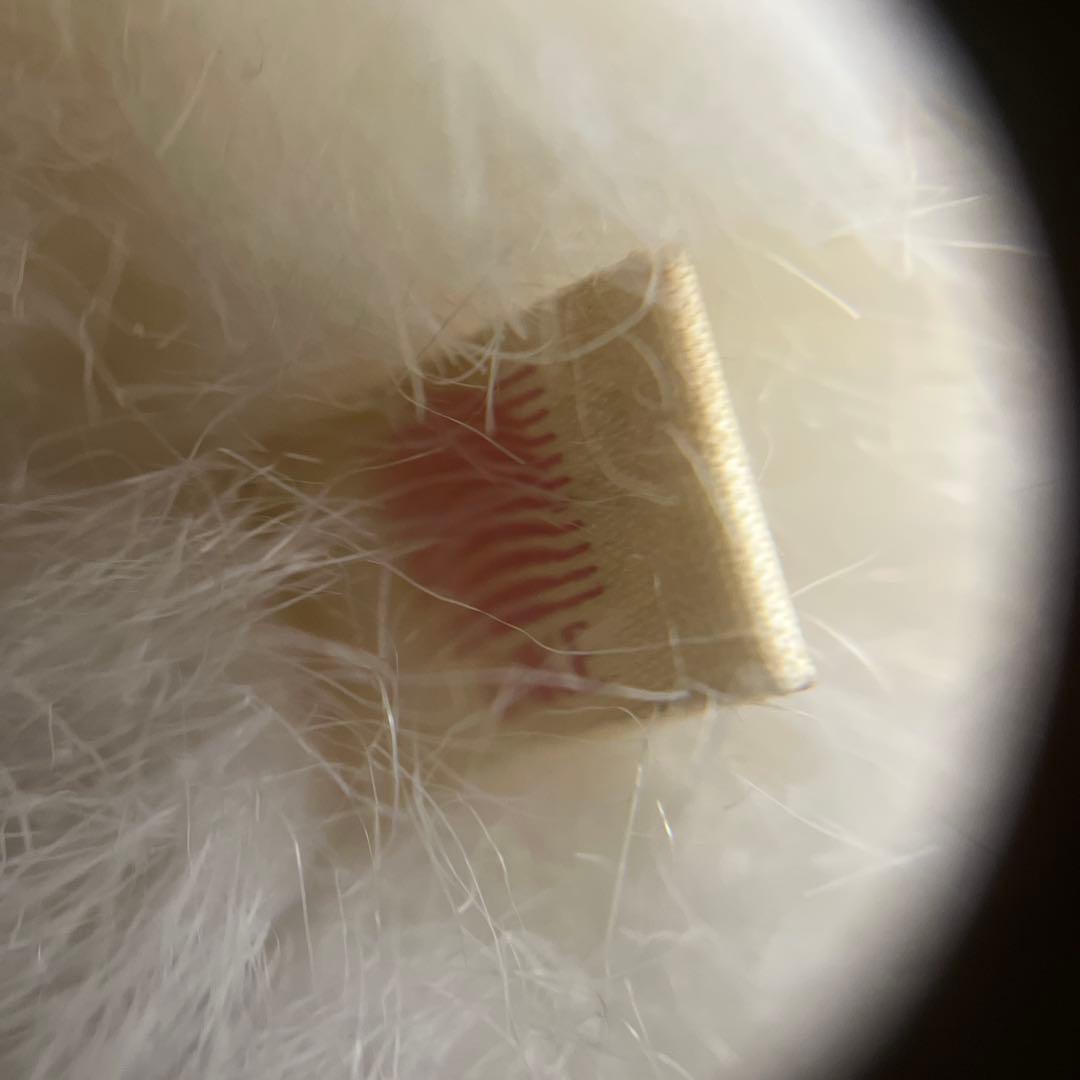 昭和　レトロ　オオイケ ぬいぐるみ 猫 ねこ ネコ 当時もの