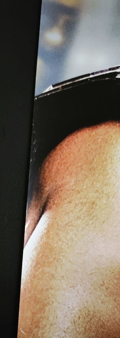 UFC186ポスターデメトリアス・ジョンソンvs堀口恭司タイトル戦大型ポスター