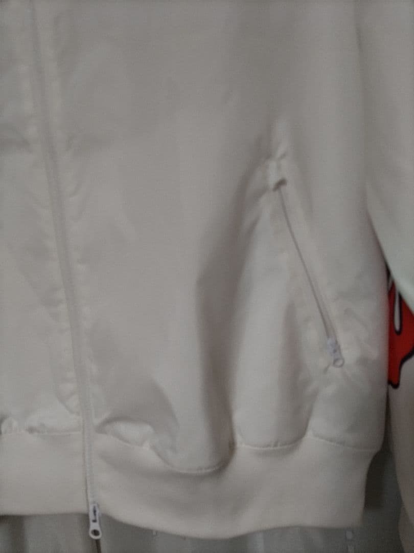 Nike ウィンド ランナー ジャケット（IB3878-100）