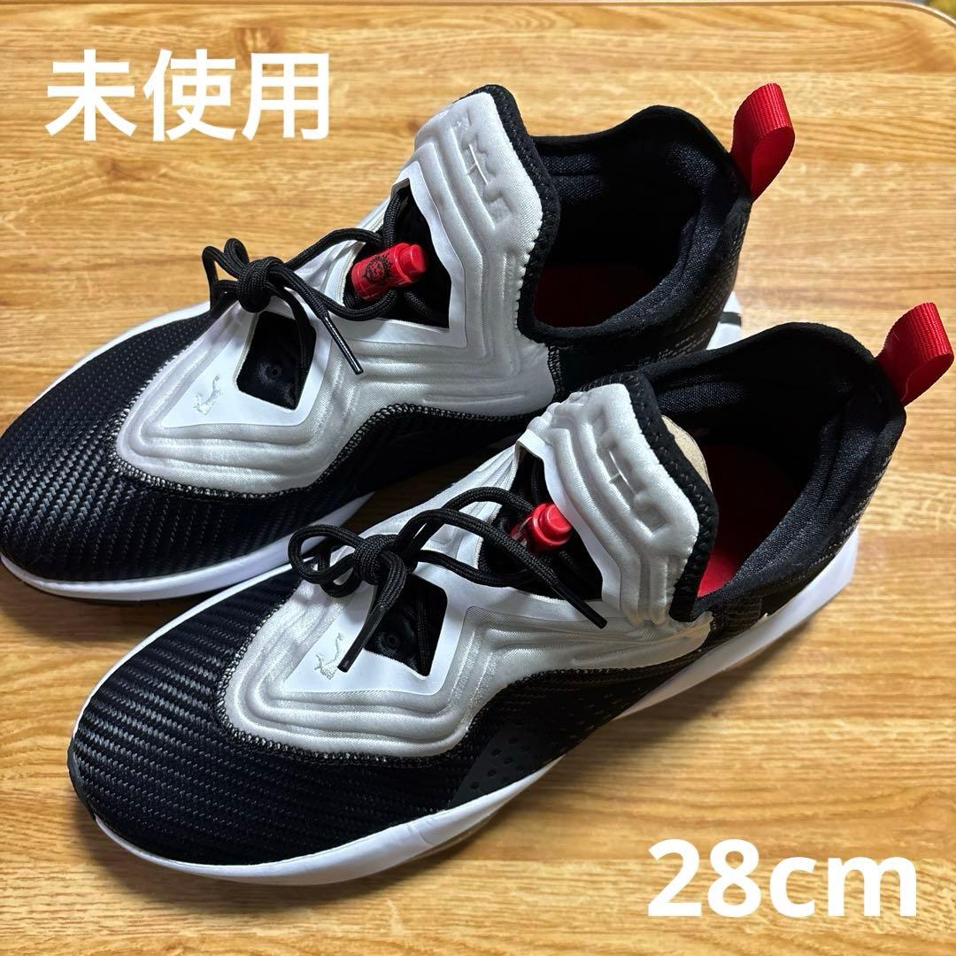 未使用　NIKE ナイキ レブロンソルジャーXIV EP 28cm
