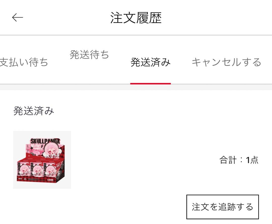 SKULLPANDA x Wednesday Winter ＆L Panda