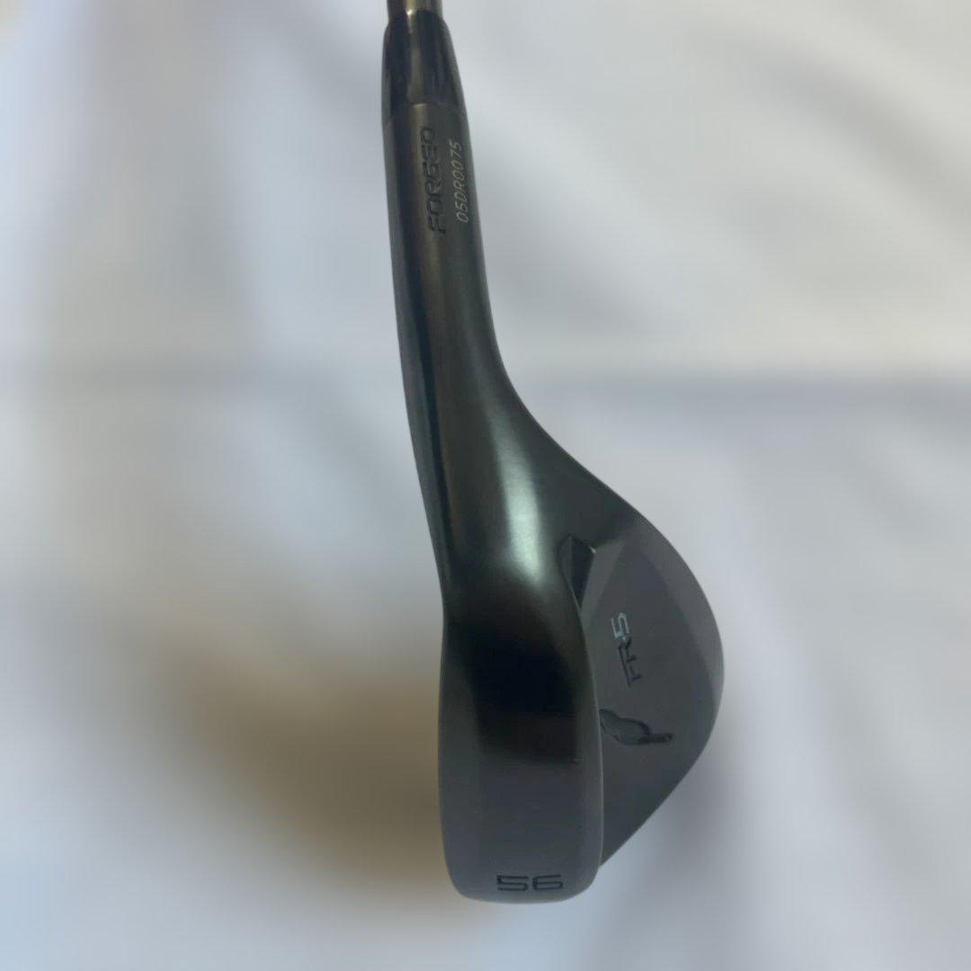 フォーティーン FR-5 50° 56°セット N.S.PRO TS-101w