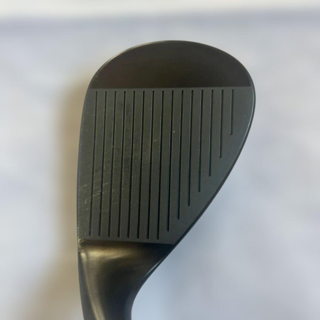 フォーティーン FR-5 50° 56°セット N.S.PRO TS-101w