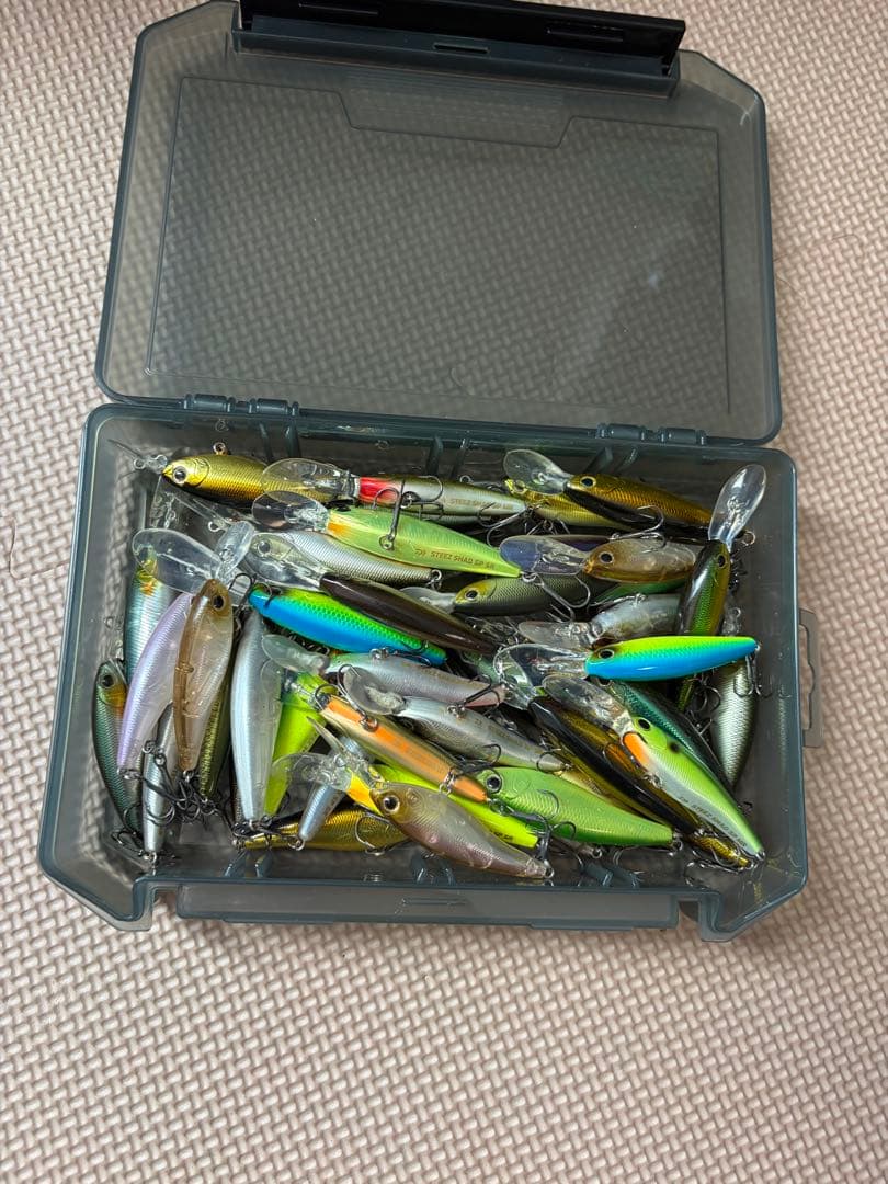 スティーズシャッド まとめ売り