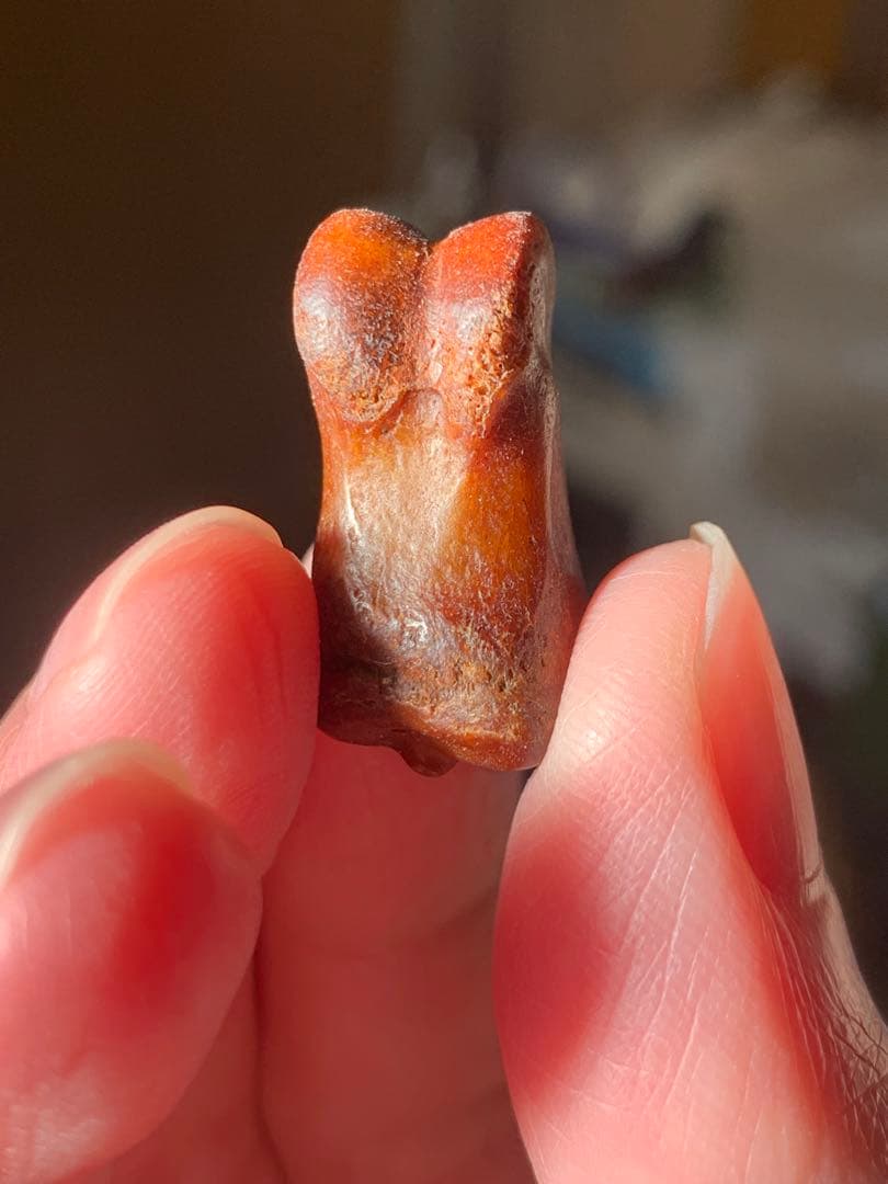 呪物　カパラ　チベット　カパーラ　頭蓋骨　クマントーン　プラクルアン　根付　密教