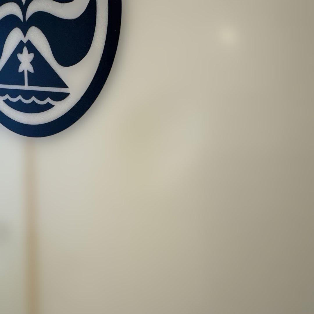 Eric Arakawa QU4D ショートボードケース付き　手渡しのみ