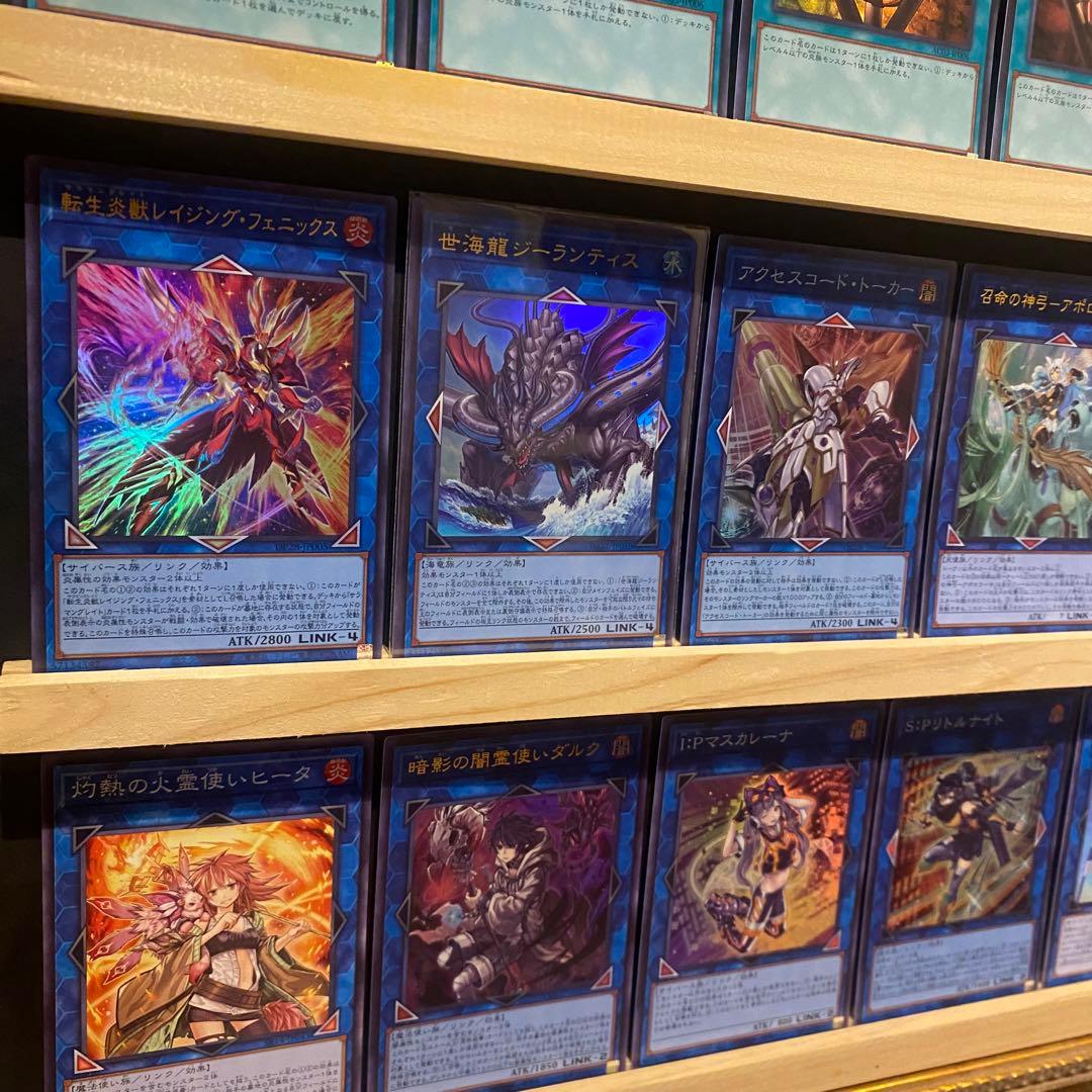 即日発送！大会用　スネークアイ　デッキ　チキンレース　篝火　ディアベルスター