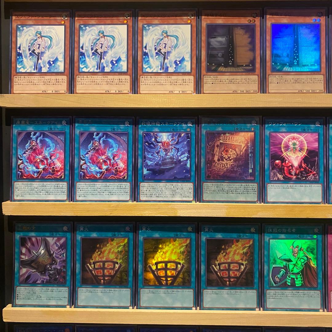 即日発送！大会用　スネークアイ　デッキ　チキンレース　篝火　ディアベルスター