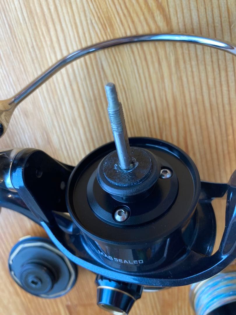 SALTIGA 8000P リール