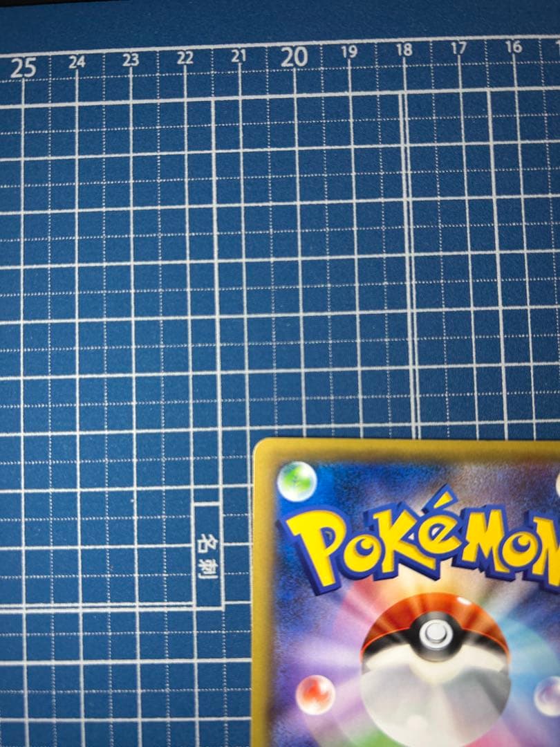 ごましお レックウザ232XY-P