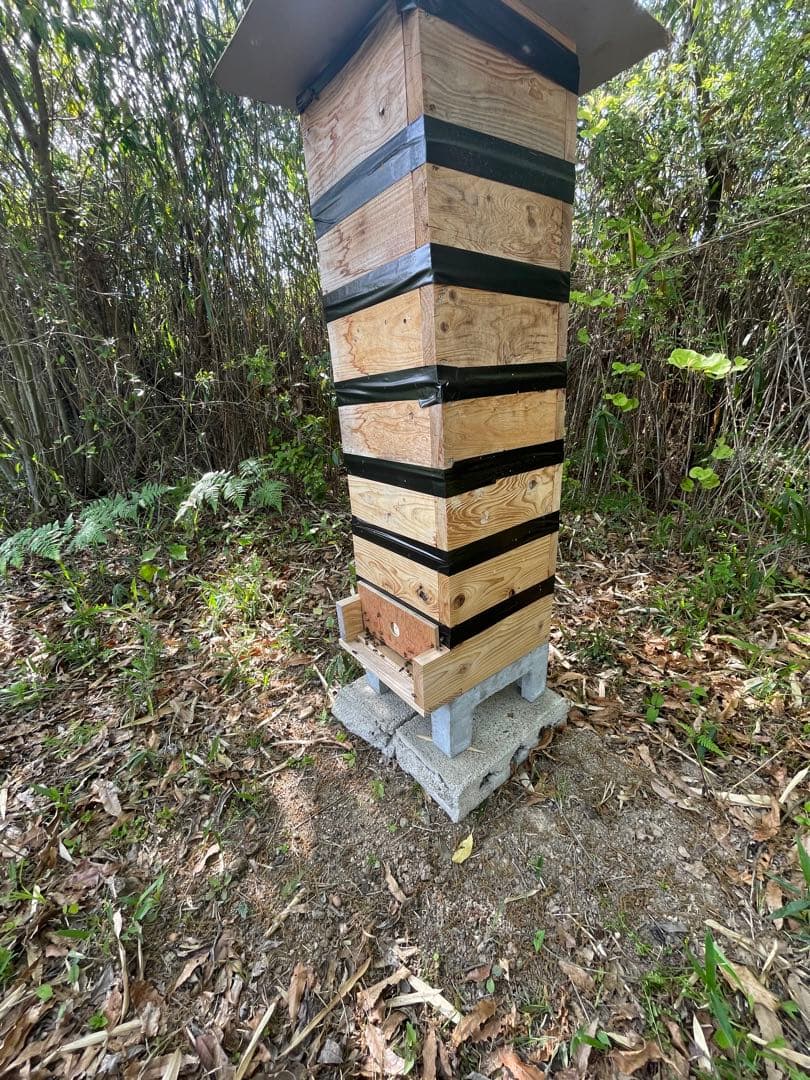 日本蜜蜂重箱式巣箱の継箱三箱！ハニーズハウス用！超訳あり特価！ニセット送料無料