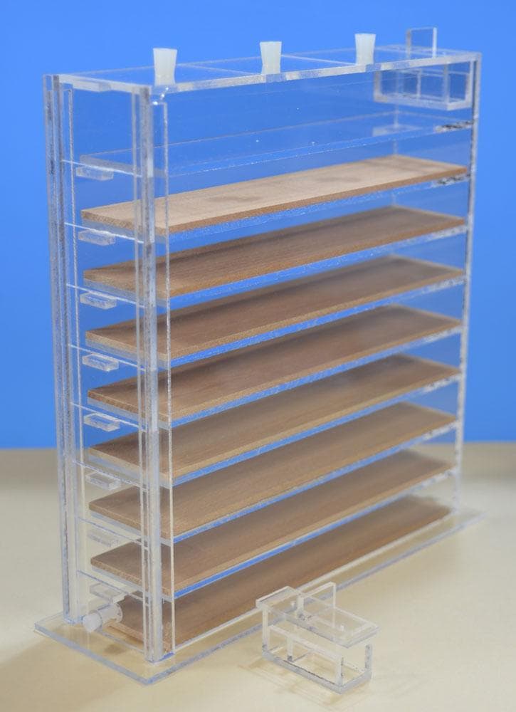 アリの人工巣　アンテシェルフ