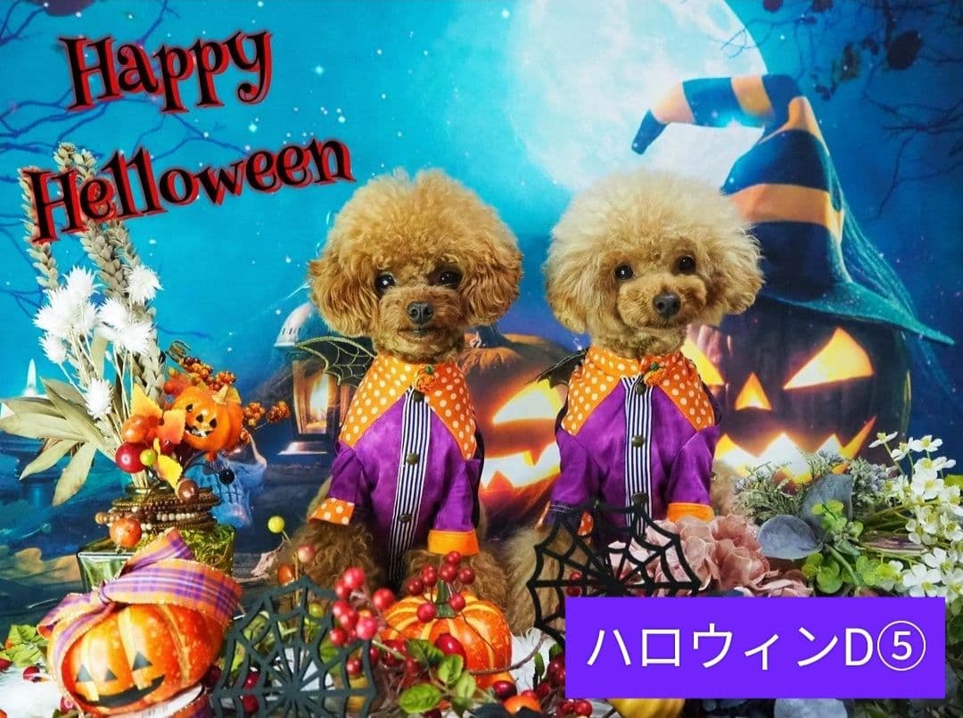 背景布　秋XD③　ペット撮影用フォトブース　ハロウィントリミングチョーカー販売中