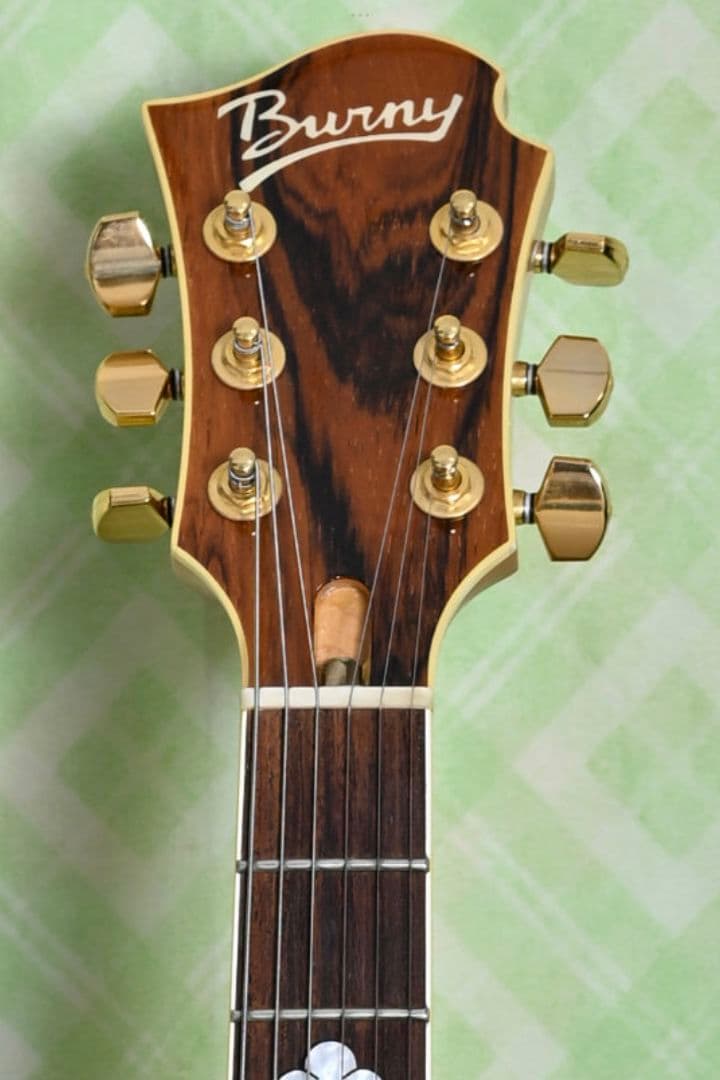 Burny FERNANDES MG X Japan hide モッキンバード