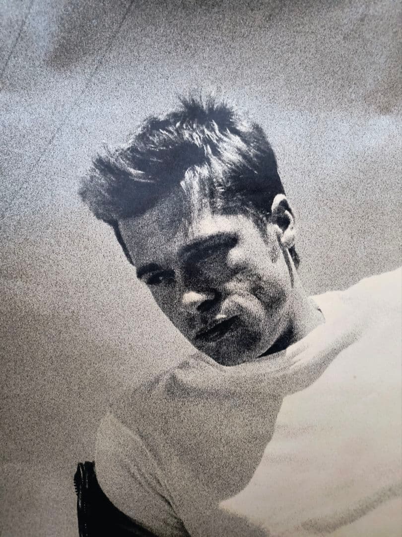 超レア ブラッド・ピット HONDA INTEGRA (インテグラ)B1ポスター