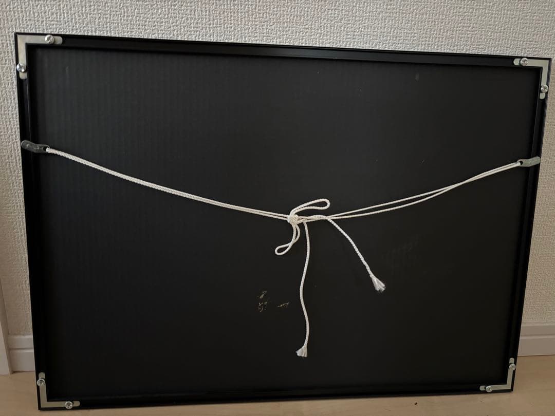 ヴァンパイア騎士　ポスター