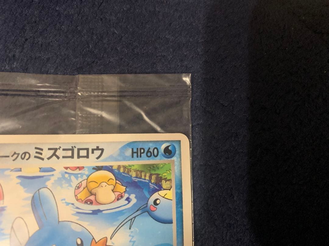 未開封ポケモンカード ポケパークのミズゴロウ 048/PCG-P